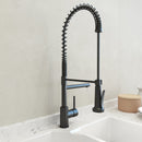 MAGGIORE 2.0 Dual-Spout Professional Kitchen Faucet