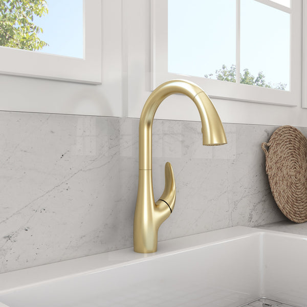 PAGANO 2.0 Pull-Down Kitchen Faucet