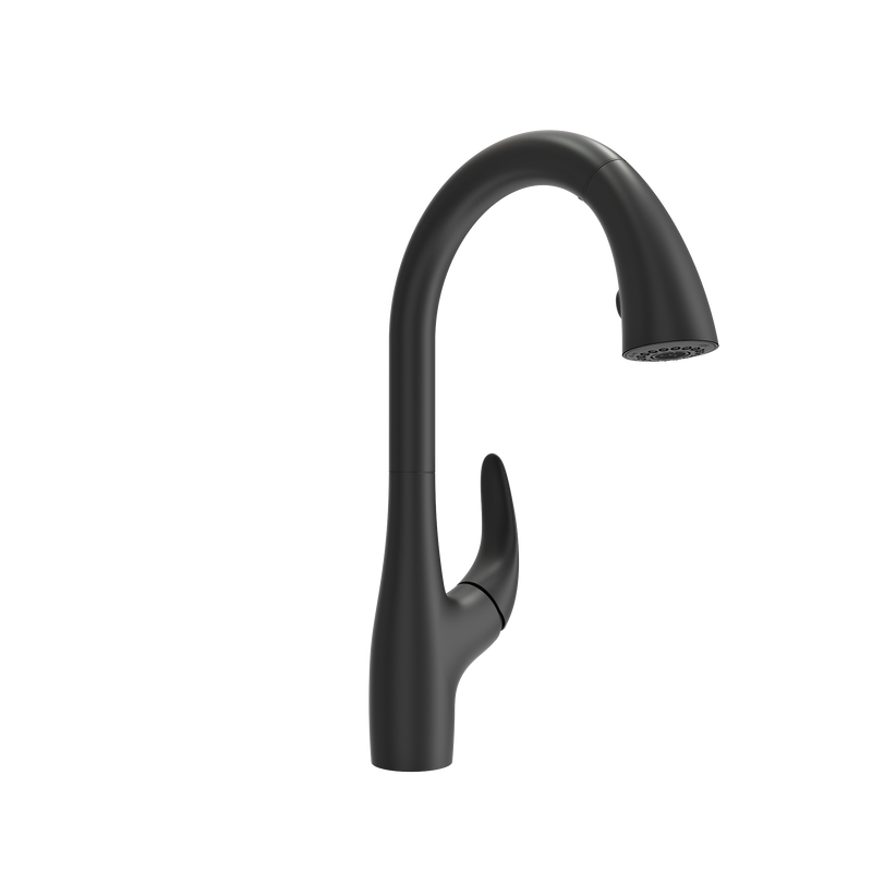 PAGANO 2.0 Pull-Down Kitchen Faucet