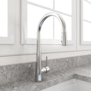 LUGANO 2.0 Pull-Down Kitchen Faucet