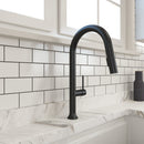 TRONTO 2.0 Pull-Down Kitchen Faucet