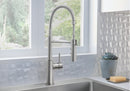 Blanco, Catris Semi-Professional Faucet - Stainless