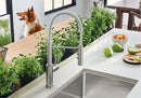 Blanco, Catris Semi-Professional Faucet - Stainless