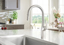 Blanco, Rivana Pull Down 1.5 GPM