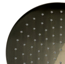 ALFI brand RAIN10RW Shower Head