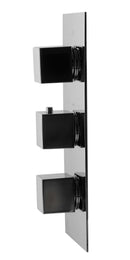 ALFI brand AB2901 Shower Mixer