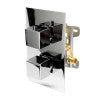 ALFI brand AB2601 Shower Mixer