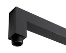 ALFI brand ABSA20S Shower Arm