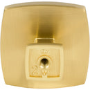 Jeffrey Alexander: Renzo