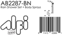 ALFI brand AB2287 Shower Set