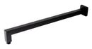 ALFI brand ABSA20S Shower Arm