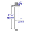 ALFI brand ABSA6S Shower Arm