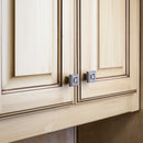 Jeffrey Alexander: Delmar