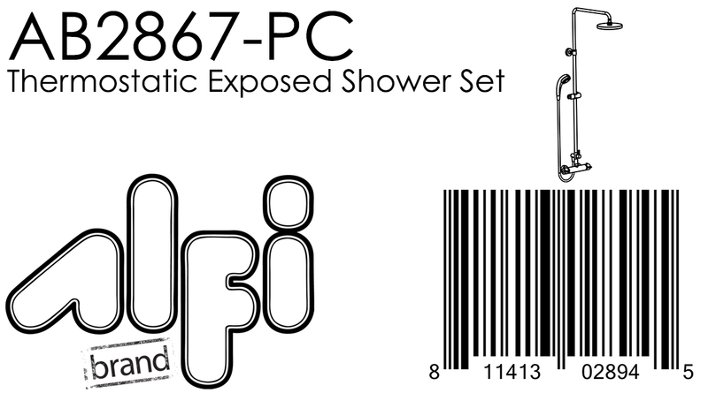 ALFI brand AB2867 Shower Set