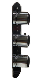 ALFI brand AB4101 Shower Mixer