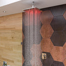 ALFI brand LED16S Shower Head