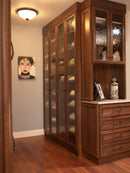 Top Knobs: Aspen Aspen Twig