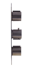 ALFI brand AB3901 Shower Mixer