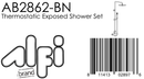 ALFI brand AB2862 Shower Set
