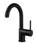 Gal Bar Kitchen Faucet