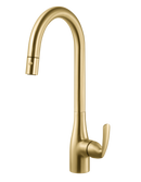 Quantum Pull Down Kitchen Faucet