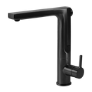 Storm Pull Up Kitchen Faucet