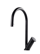 Wave Pull Down Kitchen Faucet