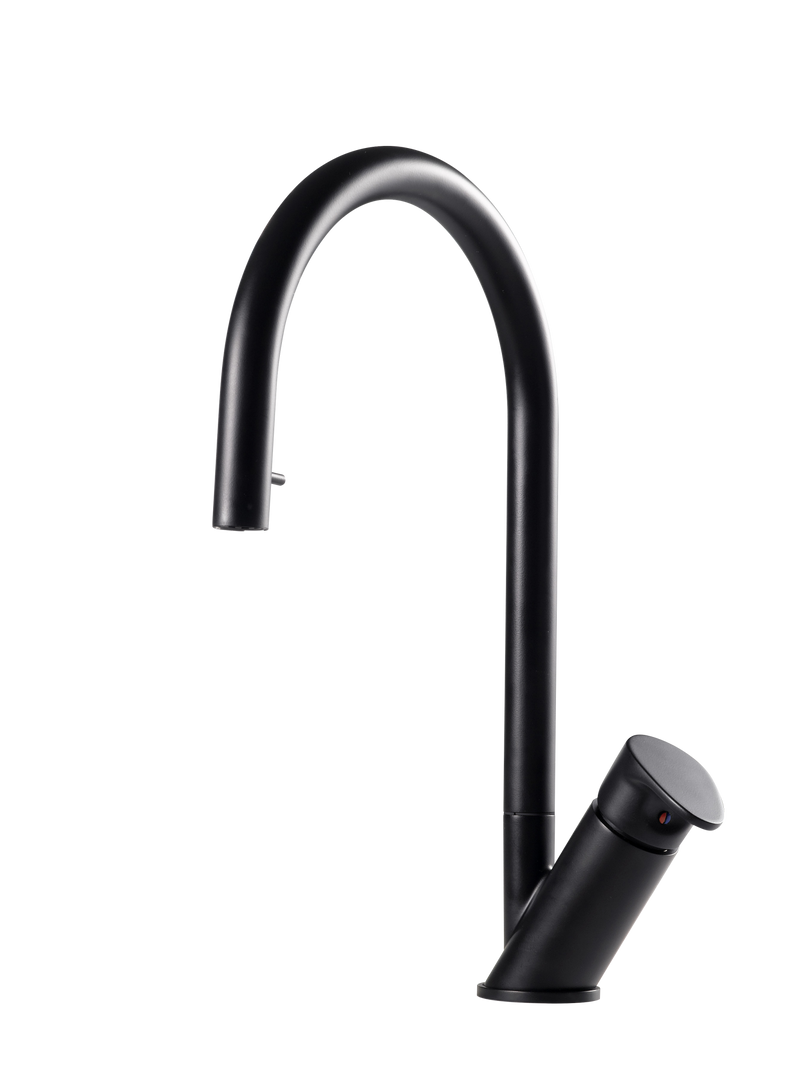 Wave Pull Down Kitchen Faucet