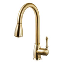 Ariana Pull Down Kitchen Faucet