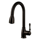 Ariana Pull Down Kitchen Faucet