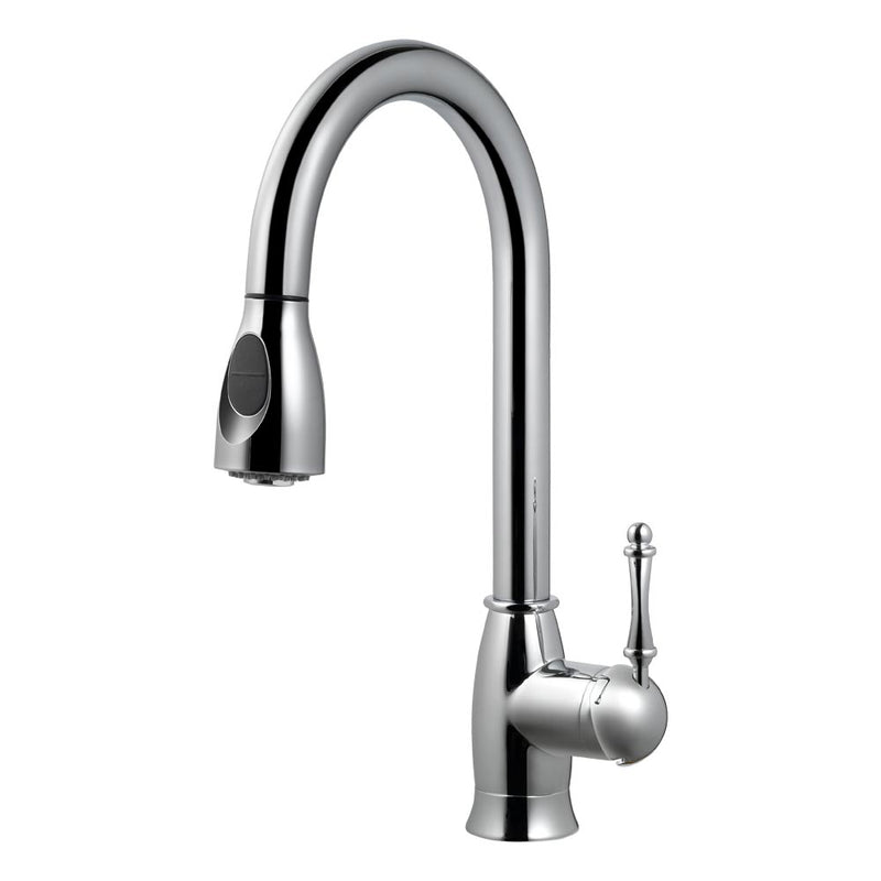 Ariana Pull Down Kitchen Faucet