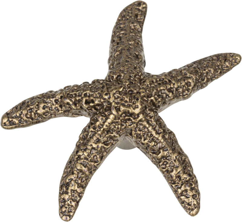 Starfish Knob 2 Inch Burnished Bronze