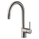 Gal Pull Down 
Kitchen Faucet