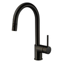 Gal Pull Down 
Kitchen Faucet