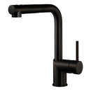 Gal Pull Out Kitchen Faucet