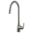 Quantum Pull Down Kitchen Faucet