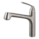 Quantum Pull Out 
Kitchen Faucet