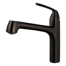 Quantum Pull Out 
Kitchen Faucet