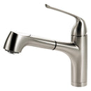 Quantum Bar Pull Out Kitchen Faucet