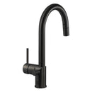 Sentry Pull Down Kitchen Faucet