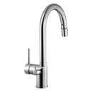 Sentry Pull Down Kitchen Faucet