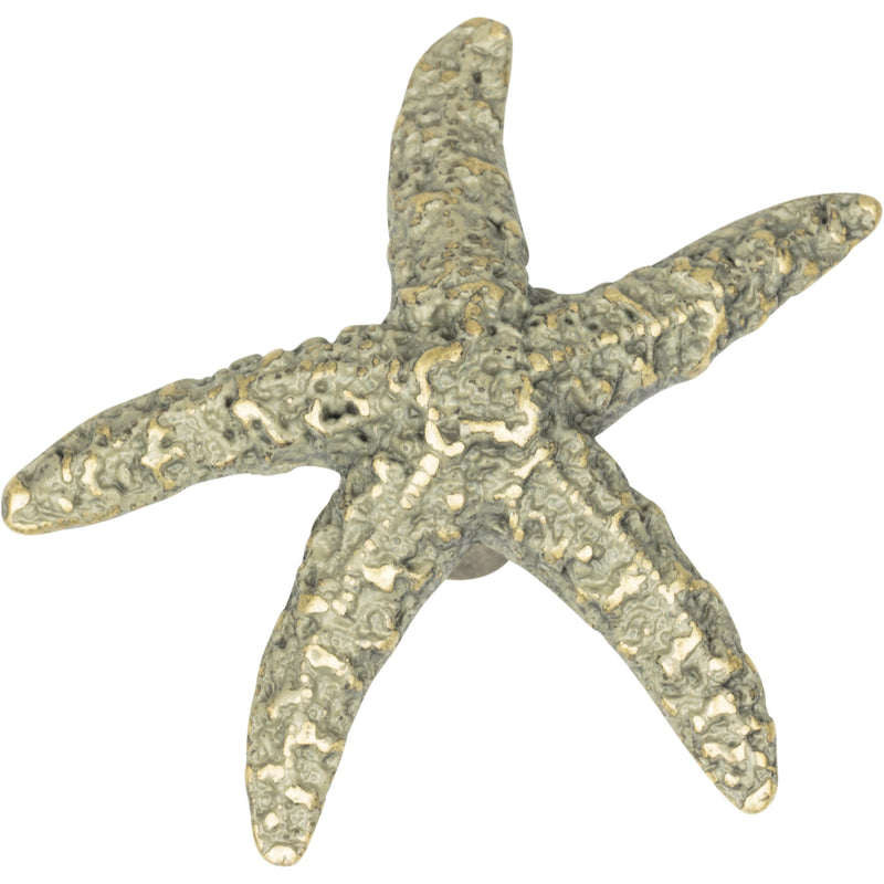 Starfish Knob 2 Inch Verdigris